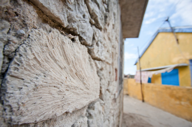 Tường nhà xây dựng bằng san hô ép vữa - nét kiến trúc đặc trưng ở những làng chài Ninh Thủy